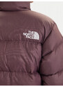 Dūnu jaka The North Face