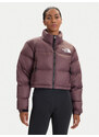 Dūnu jaka The North Face